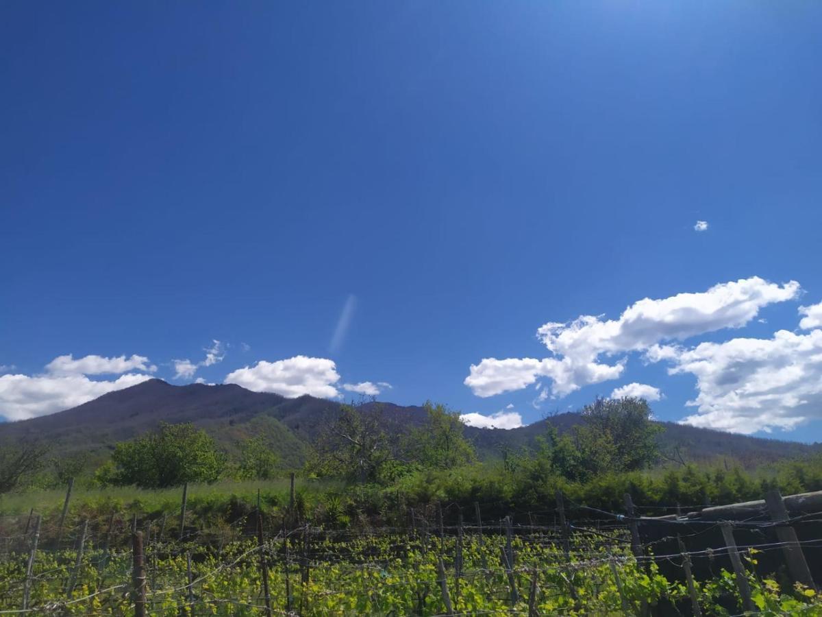 Bed and Breakfast L'Orto Del Vesuvio Di Laura Guidone Сан-Себастьяно-аль-Везувио Экстерьер фото